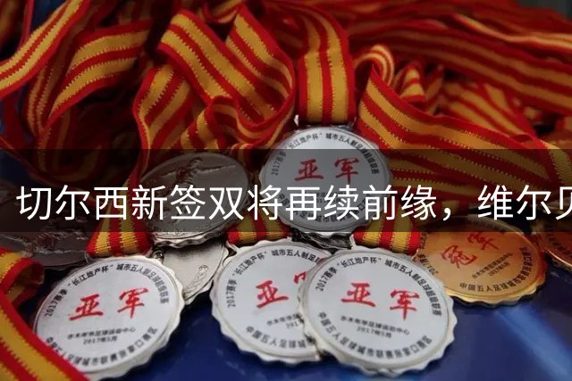 切尔西新签双将再续前缘，维尔贝克与亨德森15年后重聚